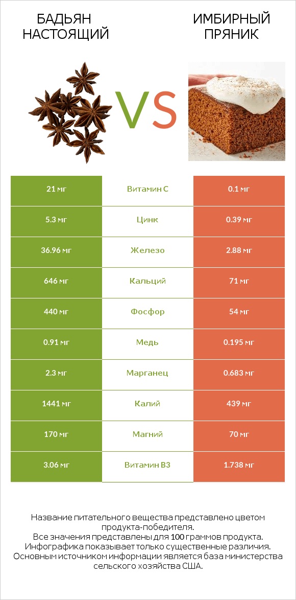 Бадьян настоящий vs Имбирный пряник infographic