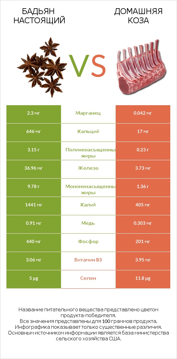 Бадьян настоящий vs Домашняя коза infographic