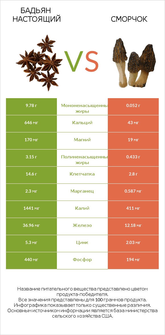 Бадьян настоящий vs Сморчок infographic