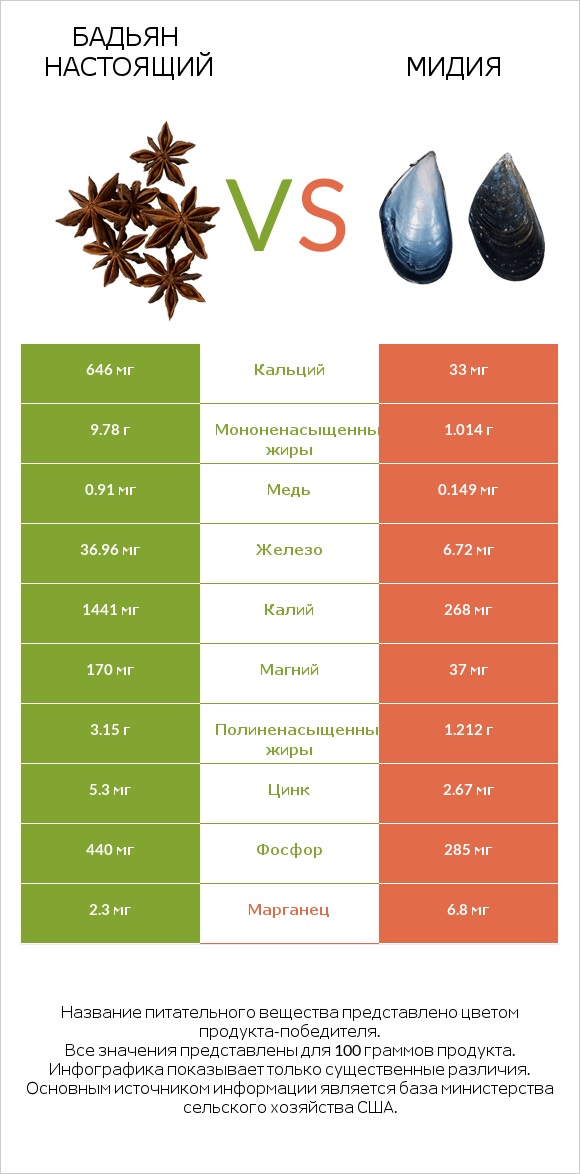 Бадьян настоящий vs Мидия infographic