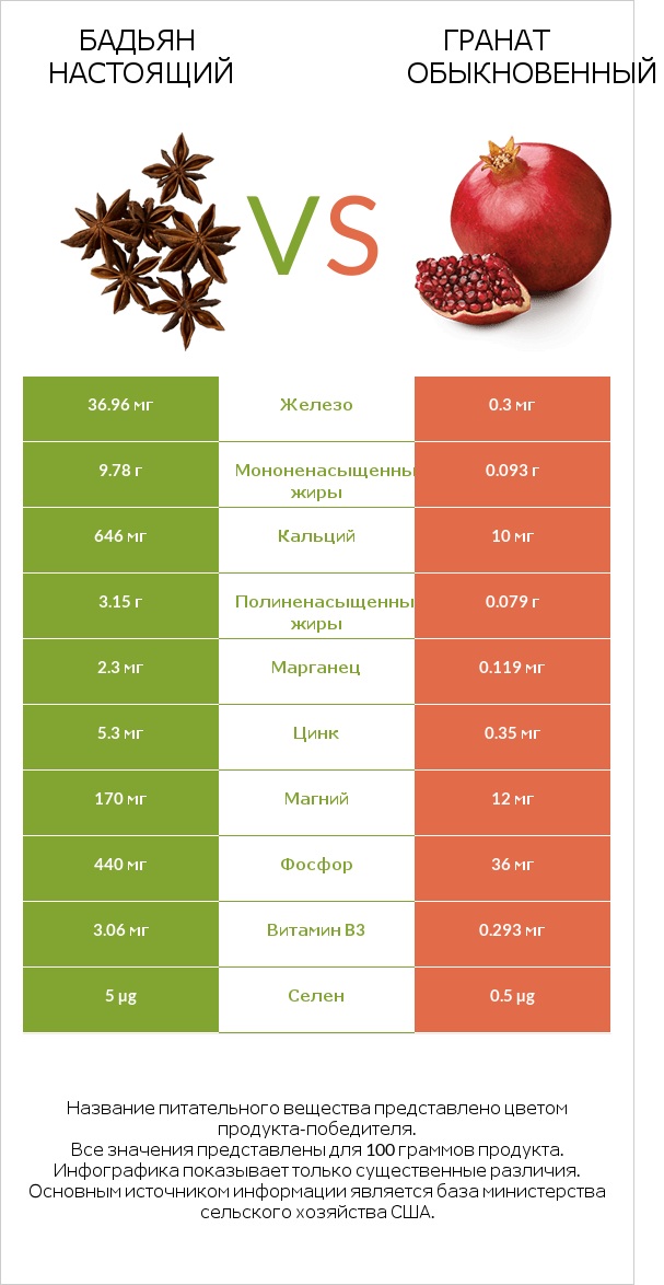 Бадьян настоящий vs Гранат обыкновенный infographic