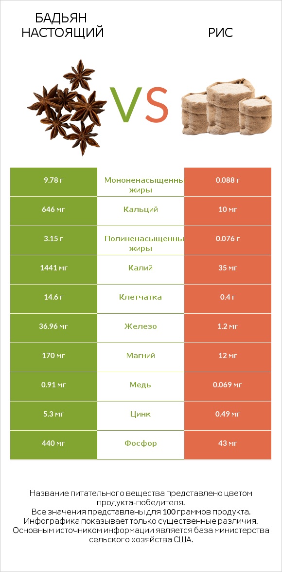 Бадьян настоящий vs Рис infographic