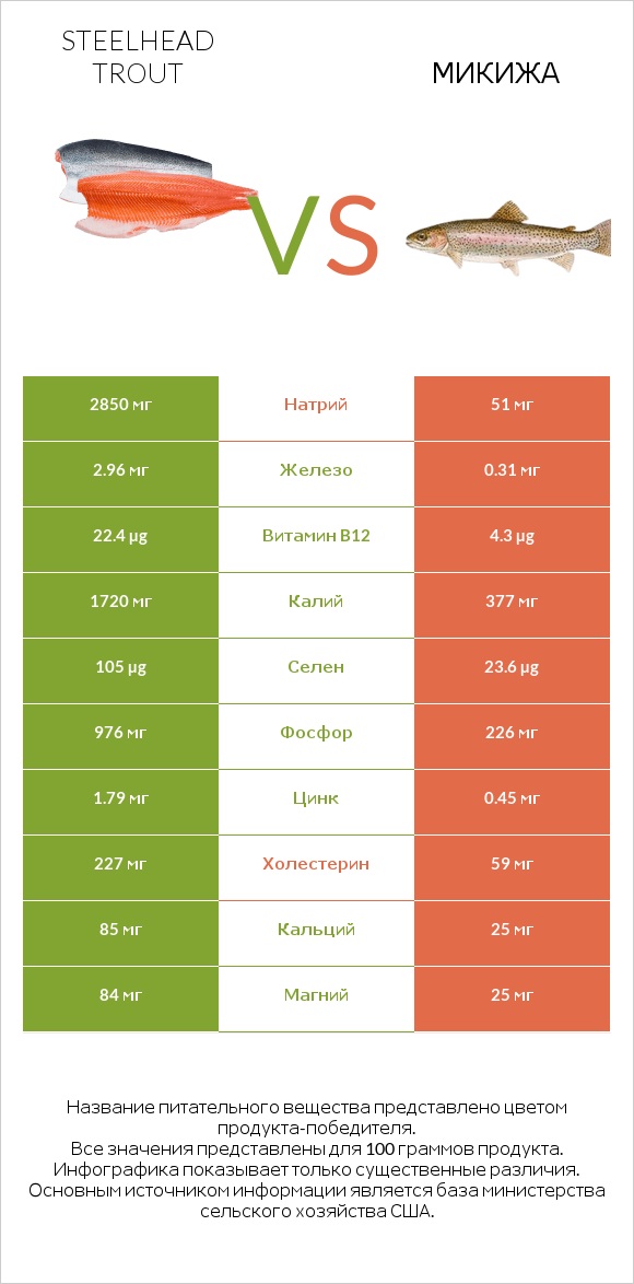 Steelhead trout vs Микижа infographic