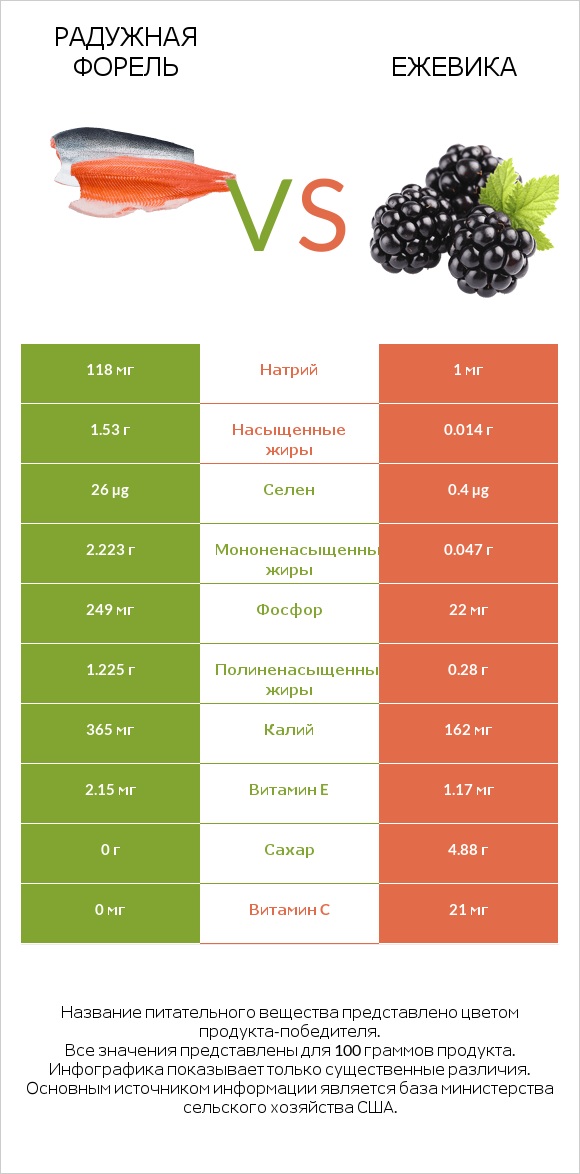 Радужная форель vs Ежевика infographic