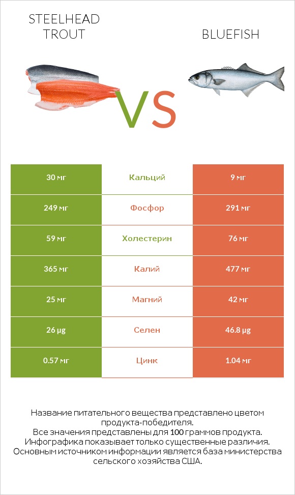 Steelhead trout vs Bluefish infographic