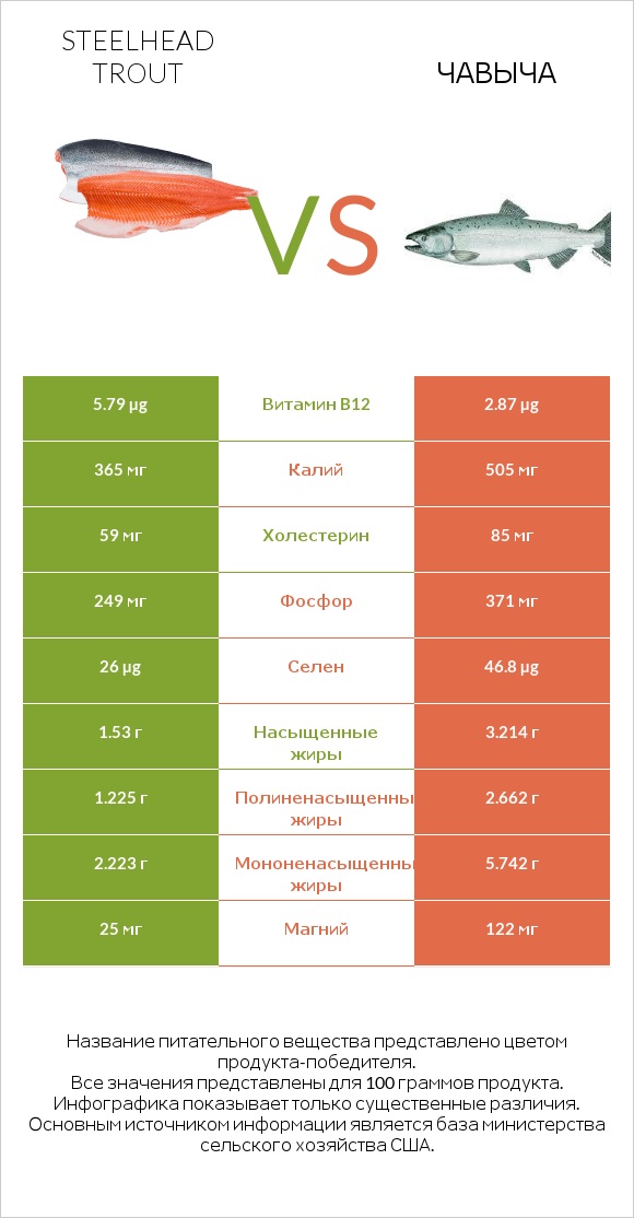 Steelhead trout vs Чавыча infographic