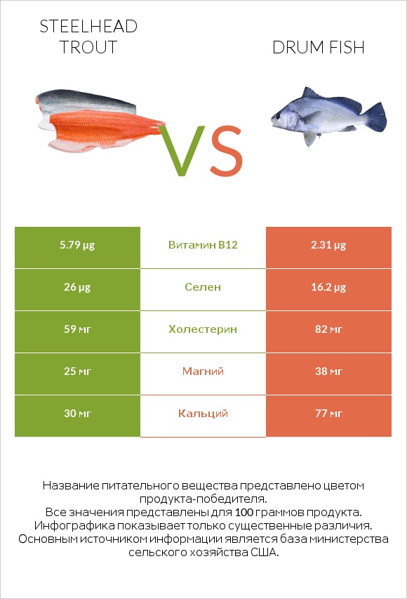 Steelhead trout vs Drum fish infographic