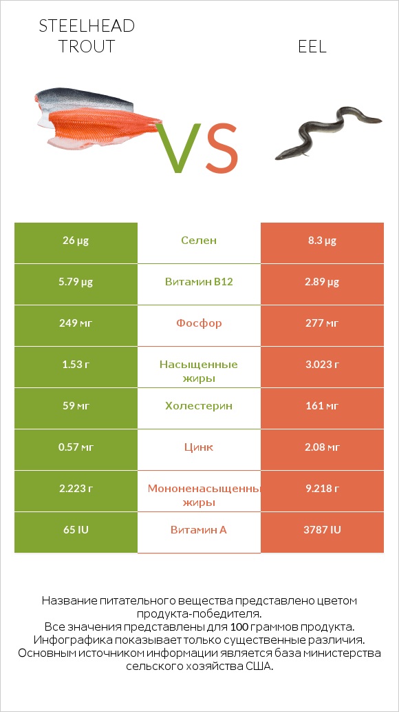 Steelhead trout vs Eel infographic