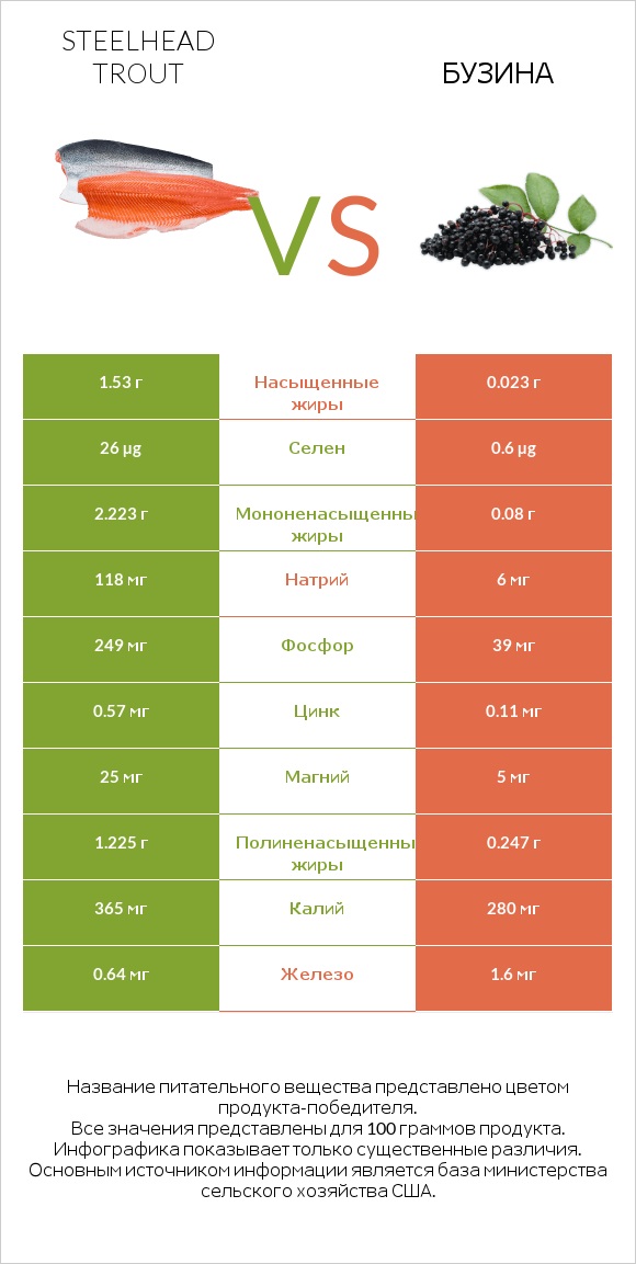 Steelhead trout vs Бузина infographic
