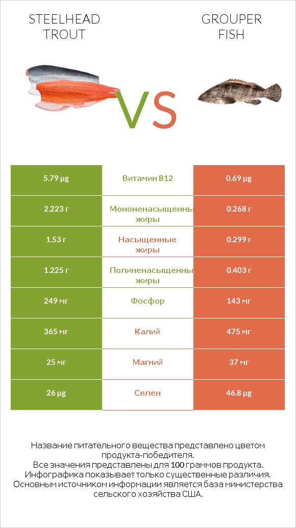 Steelhead trout vs Grouper fish infographic