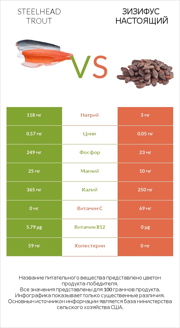 Steelhead trout vs Зизифус настоящий infographic