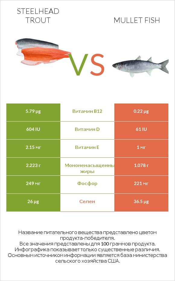 Steelhead trout vs Mullet fish infographic