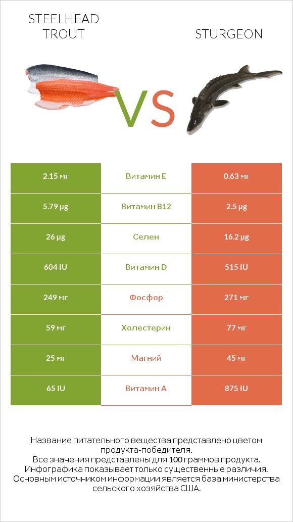 Steelhead trout vs Sturgeon infographic