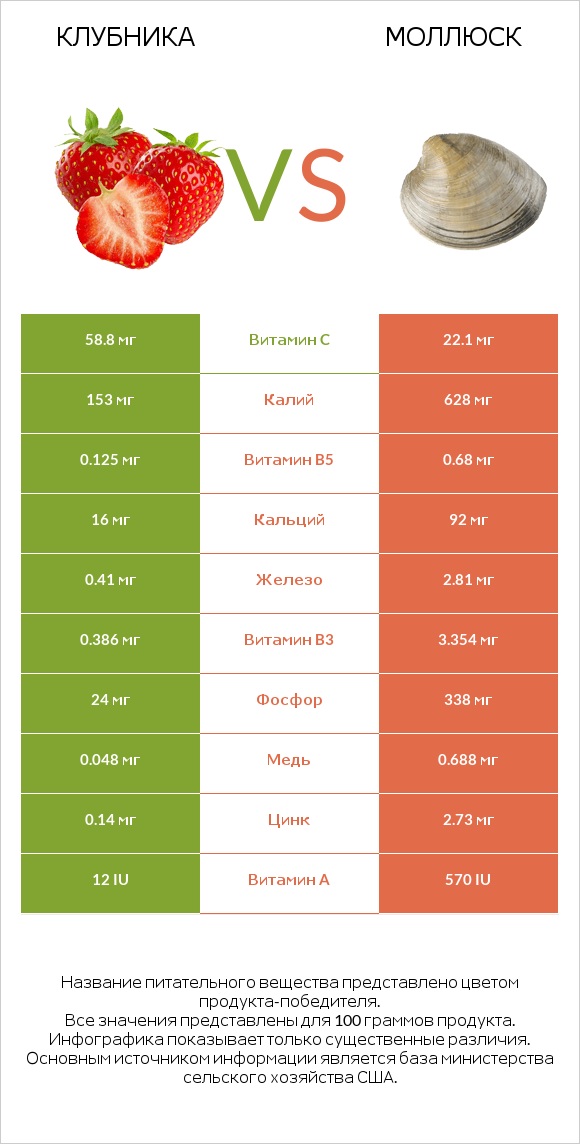 Клубника vs Моллюск infographic