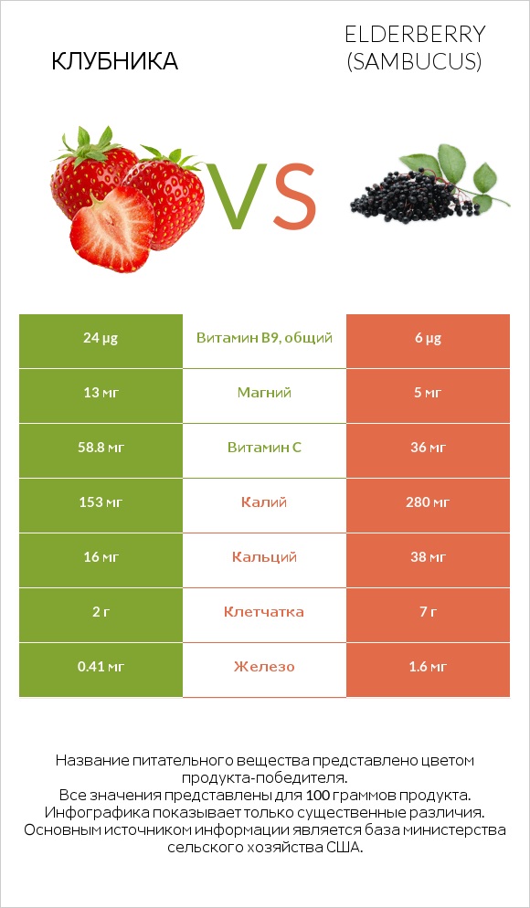 Клубника vs Elderberry infographic