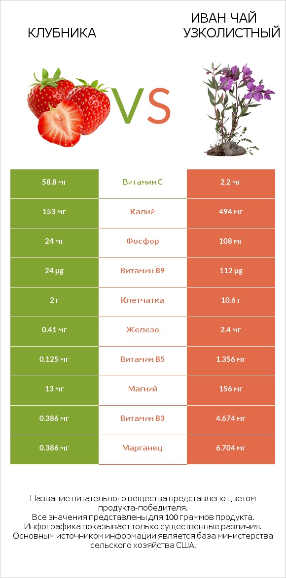 Клубника vs Иван-чай узколистный infographic