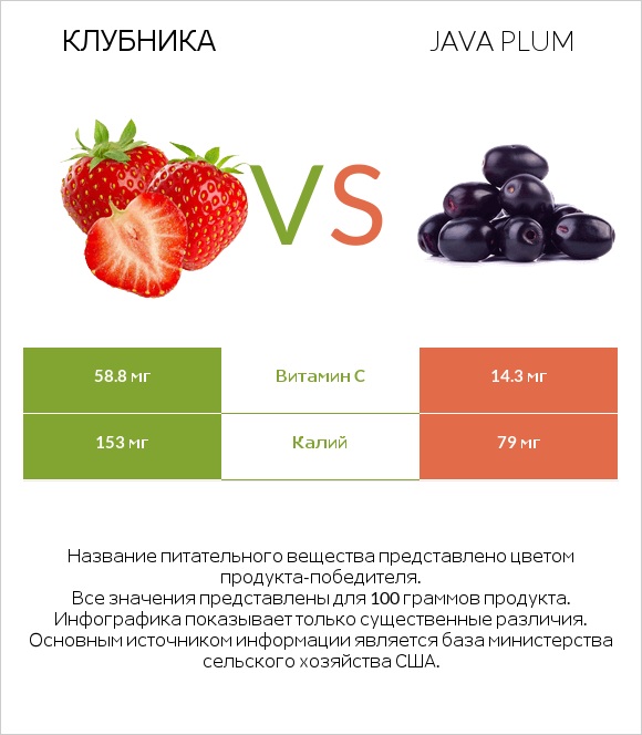 Клубника vs Java plum infographic