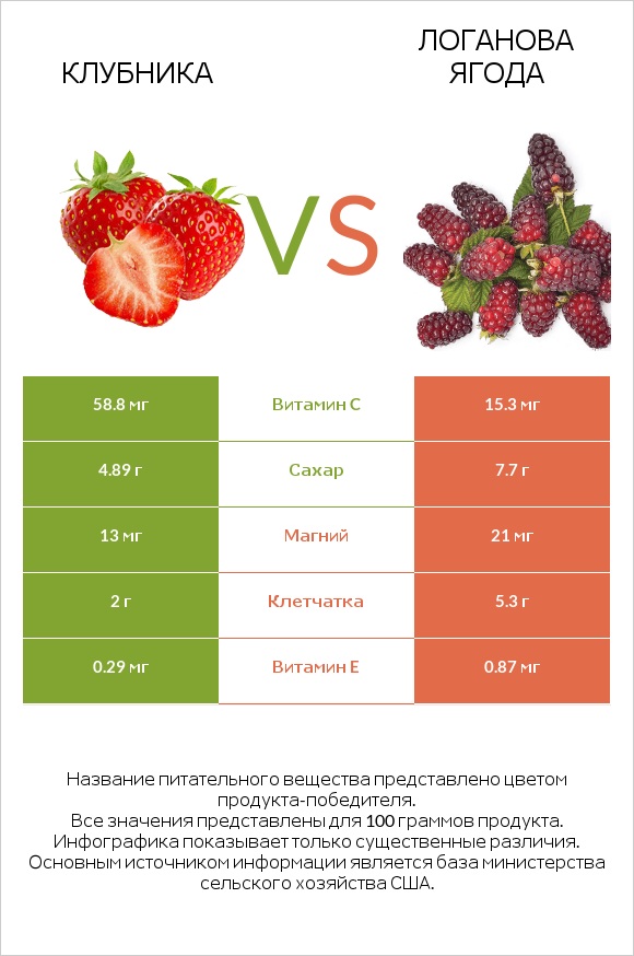 Клубника vs Логанова ягода infographic