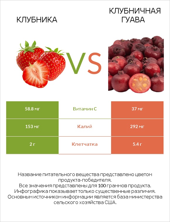 Клубника vs Клубничная гуава infographic