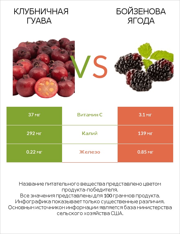 Клубничная гуава vs Бойзенова ягода infographic