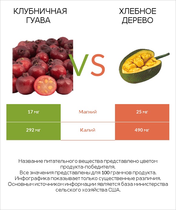 Клубничная гуава vs Хлебное дерево infographic