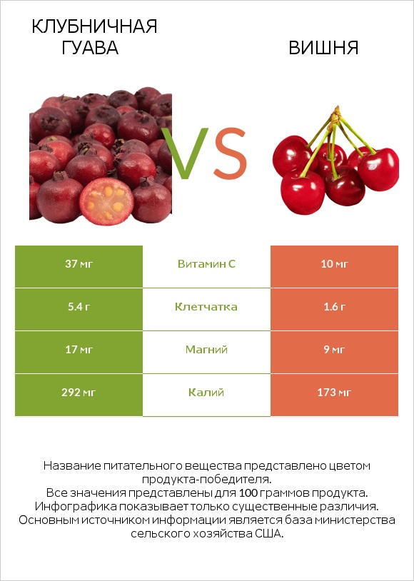 Клубничная гуава vs Вишня infographic