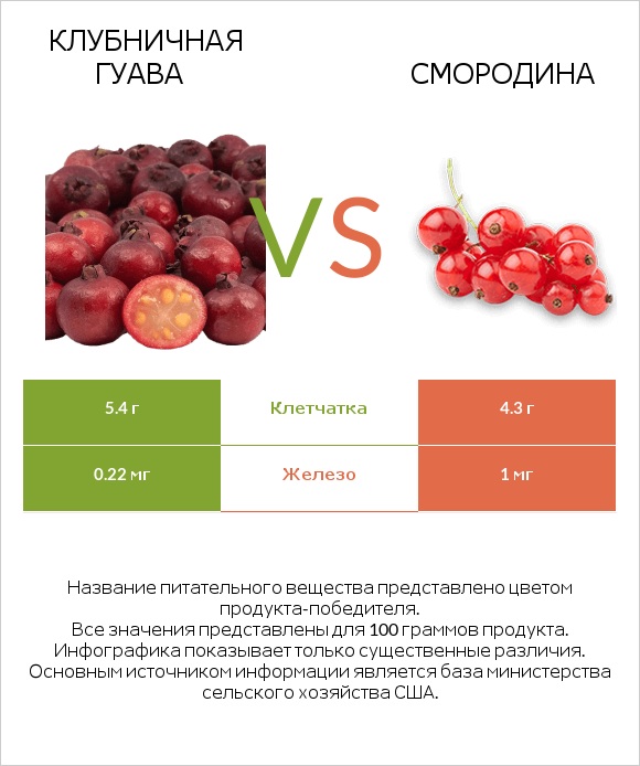 Клубничная гуава vs Смородина infographic