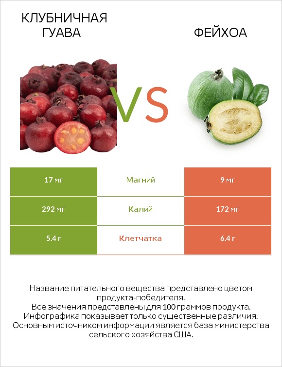 Клубничная гуава vs Фейхоа infographic