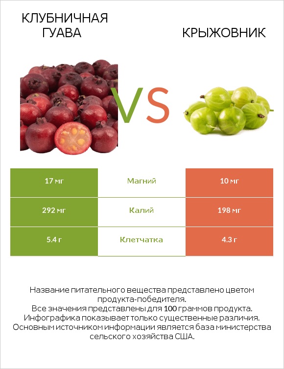 Клубничная гуава vs Крыжовник infographic