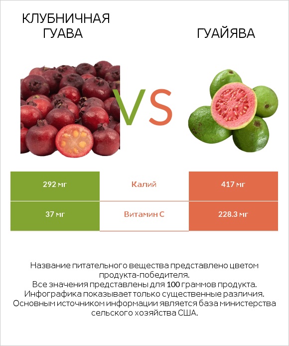 Клубничная гуава vs Гуайява infographic