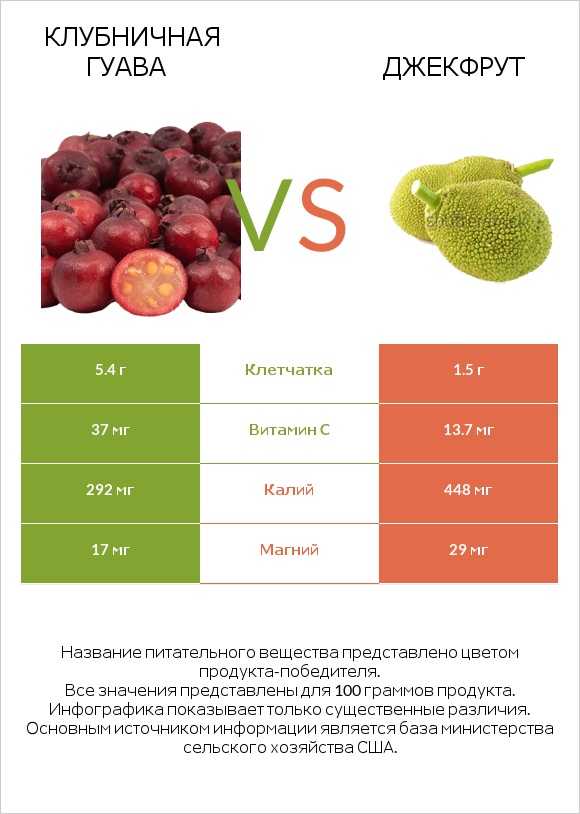 Клубничная гуава vs Джекфрут infographic