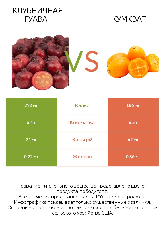 Клубничная гуава vs Кумкват infographic