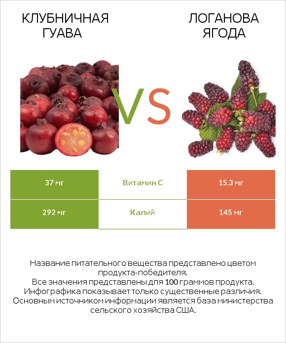 Клубничная гуава vs Логанова ягода infographic