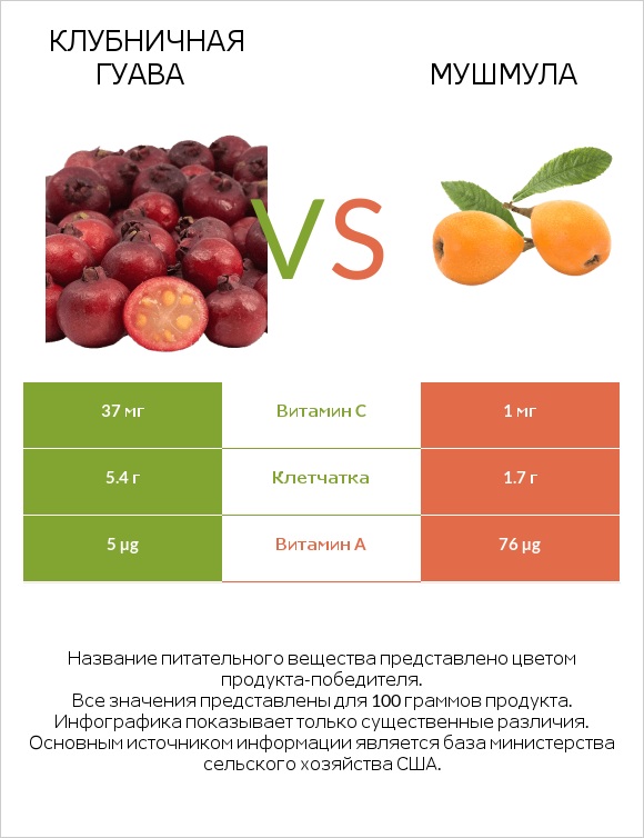 Клубничная гуава vs Мушмула infographic