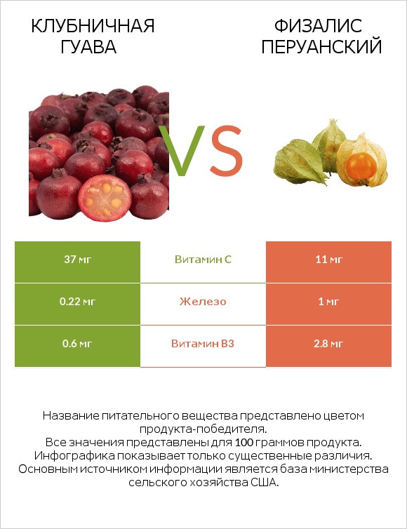 Клубничная гуава vs Физалис перуанский infographic