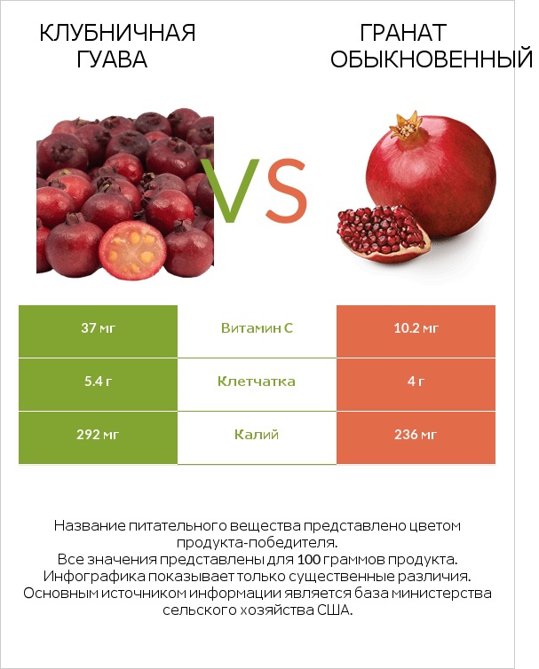 Клубничная гуава vs Гранат обыкновенный infographic