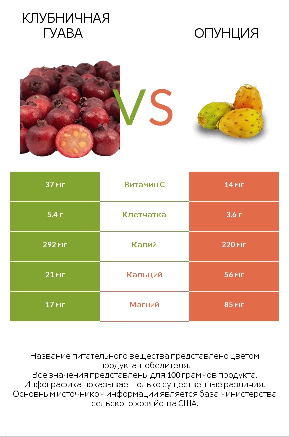 Клубничная гуава vs Опунция infographic