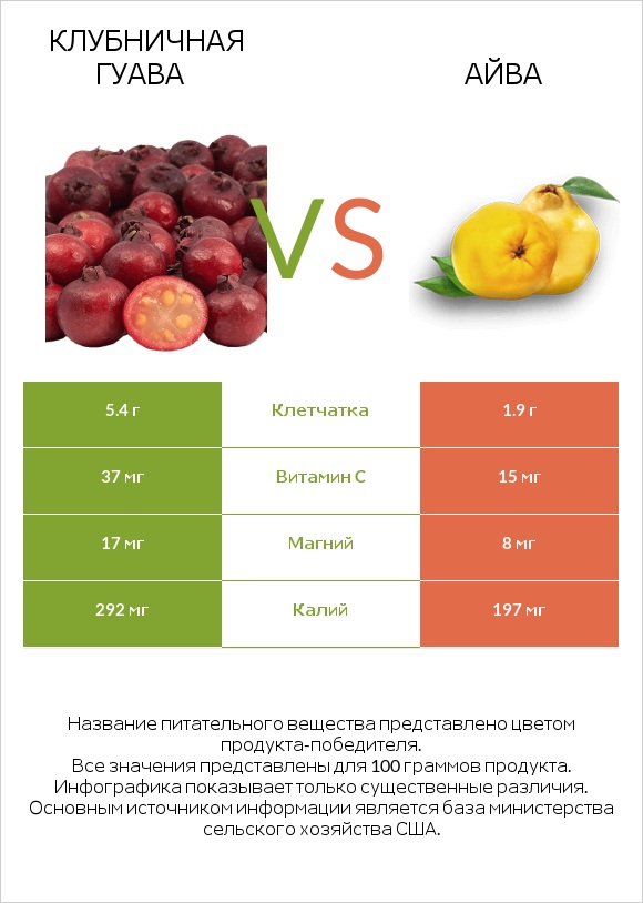 Клубничная гуава vs Айва infographic