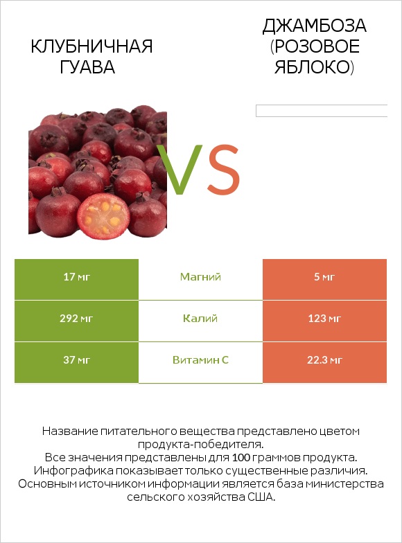 Клубничная гуава vs Джамбоза (розовое яблоко) infographic