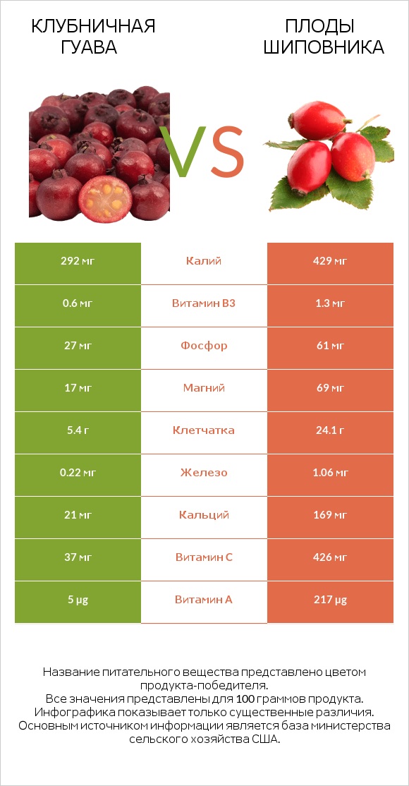 Клубничная гуава vs Плоды шиповника infographic