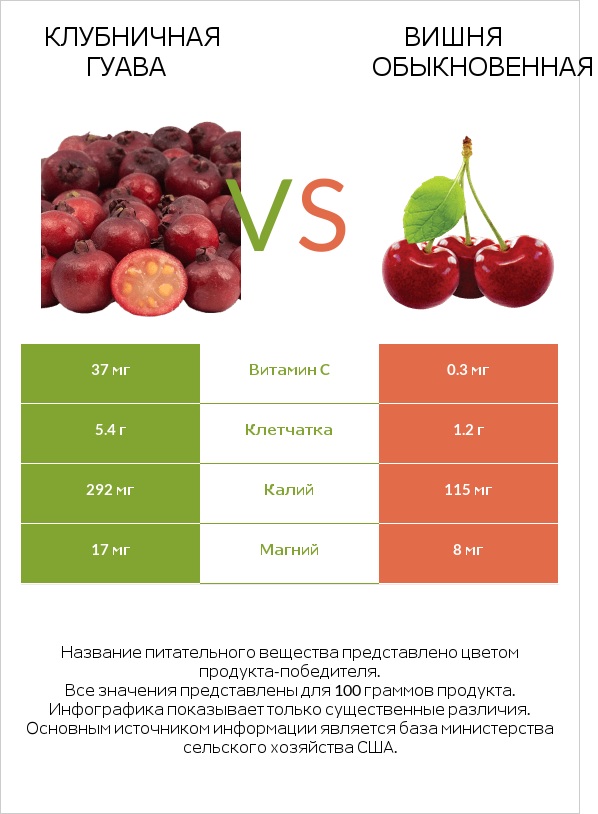 Клубничная гуава vs Вишня обыкновенная infographic