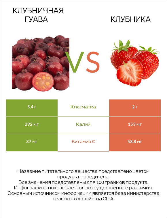 Клубничная гуава vs Клубника infographic