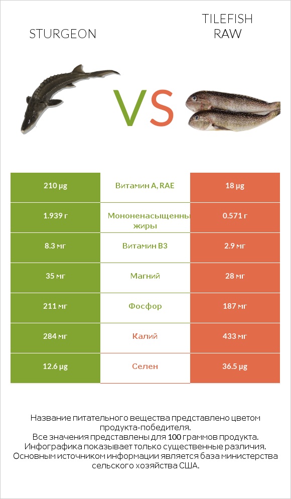 Sturgeon vs Tilefish raw infographic