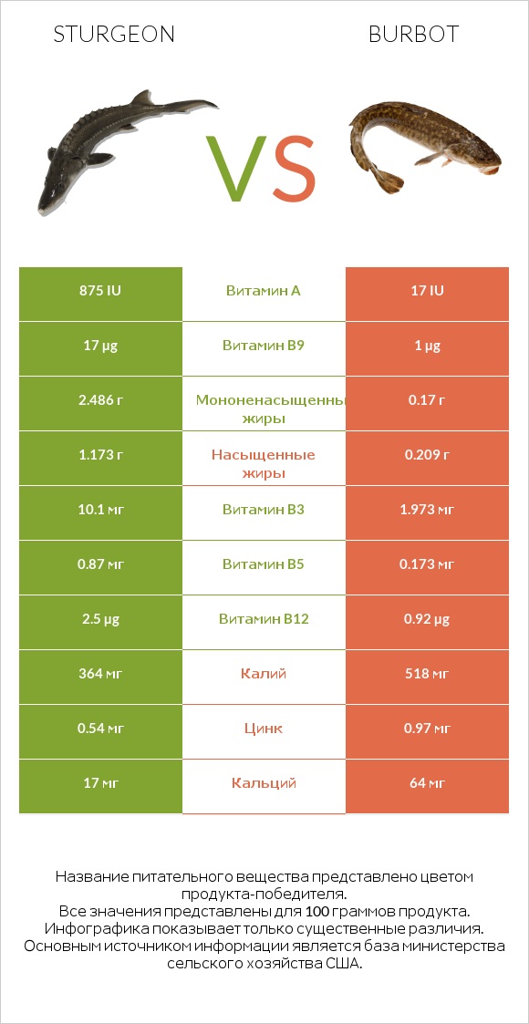 Sturgeon vs Burbot infographic