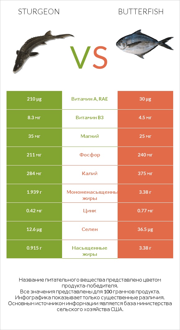 Sturgeon vs Butterfish infographic