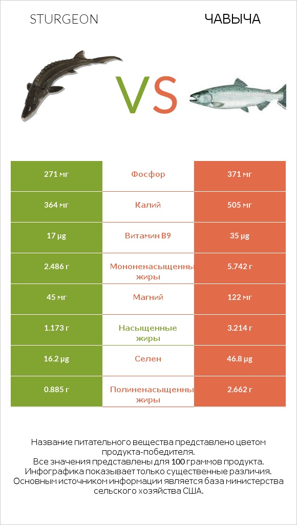 Sturgeon vs Чавыча infographic