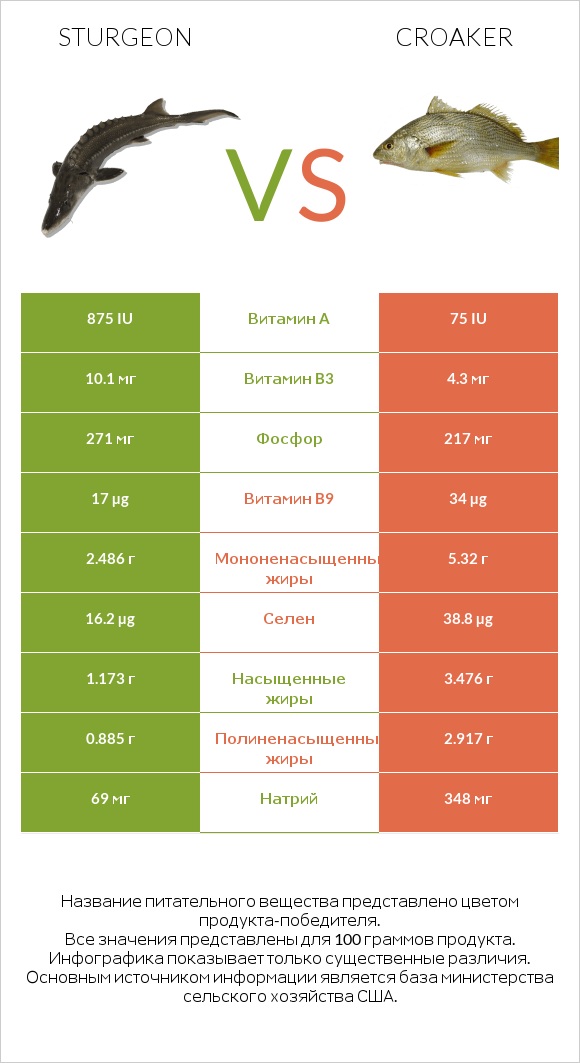 Sturgeon vs Croaker infographic