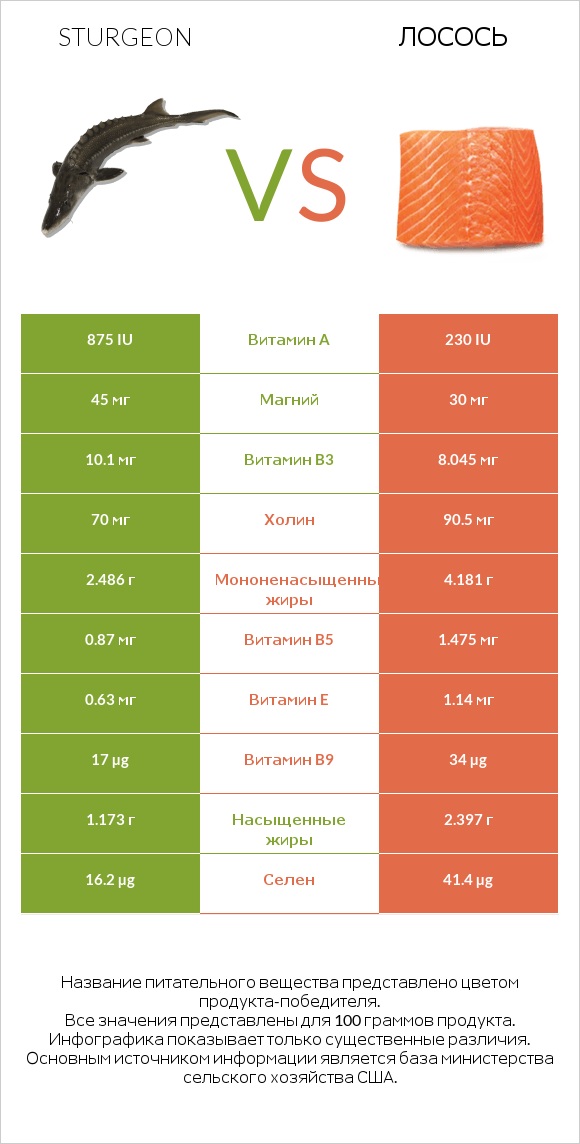 Sturgeon vs Лосось infographic