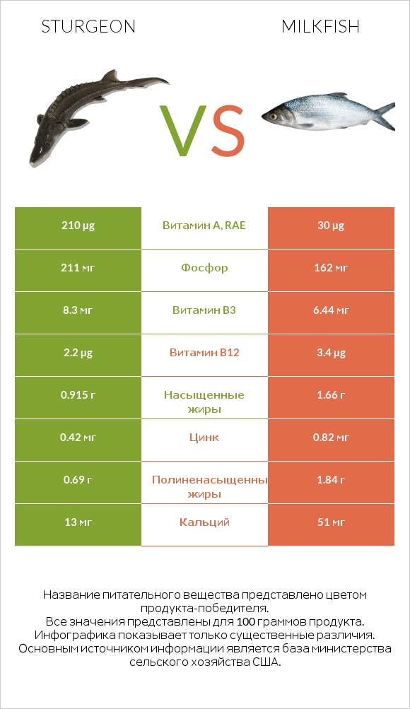 Sturgeon vs Milkfish infographic