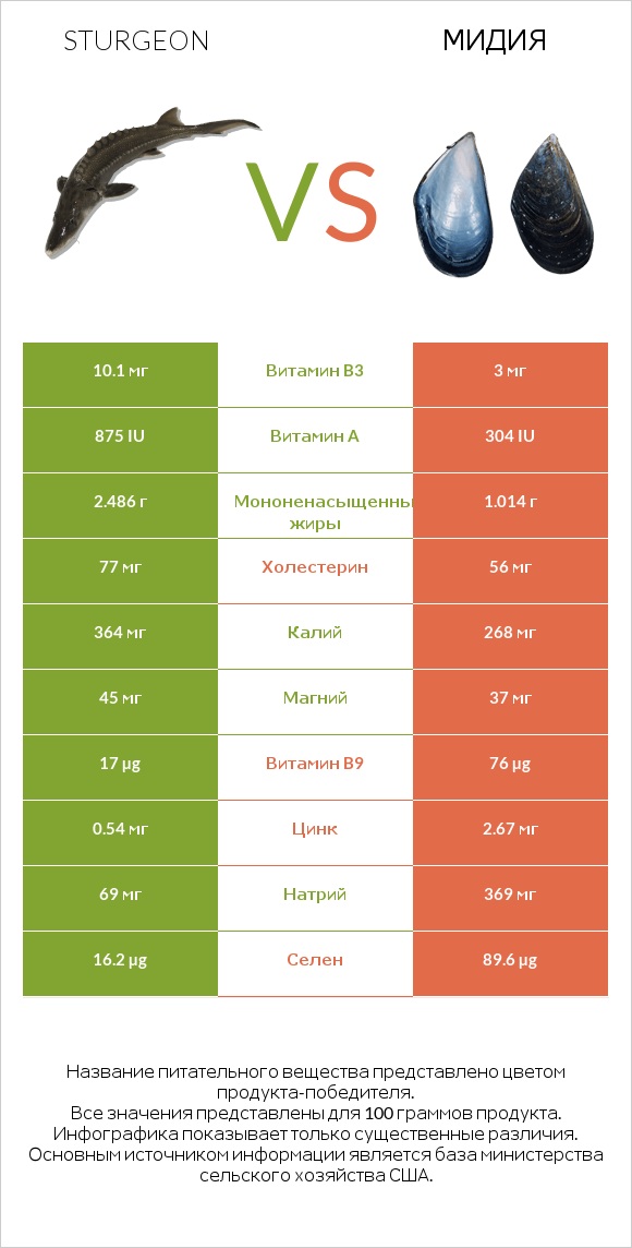 Sturgeon vs Мидия infographic